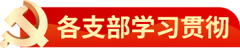 各支部学习贯彻